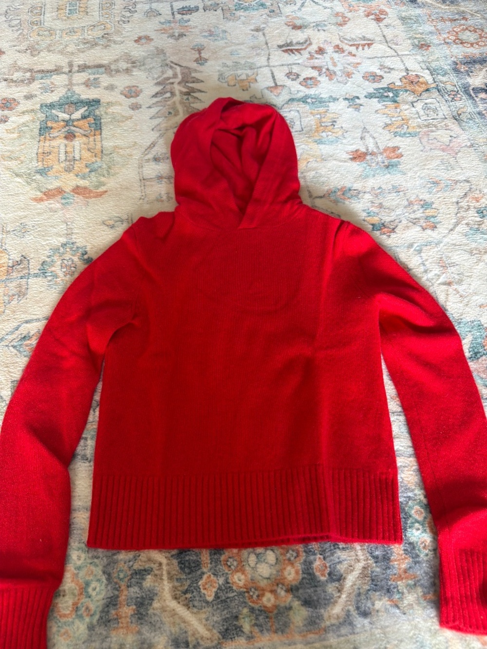 Aritzia cashmere hoodie